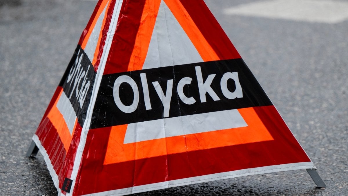 Båt på bilväg – köer