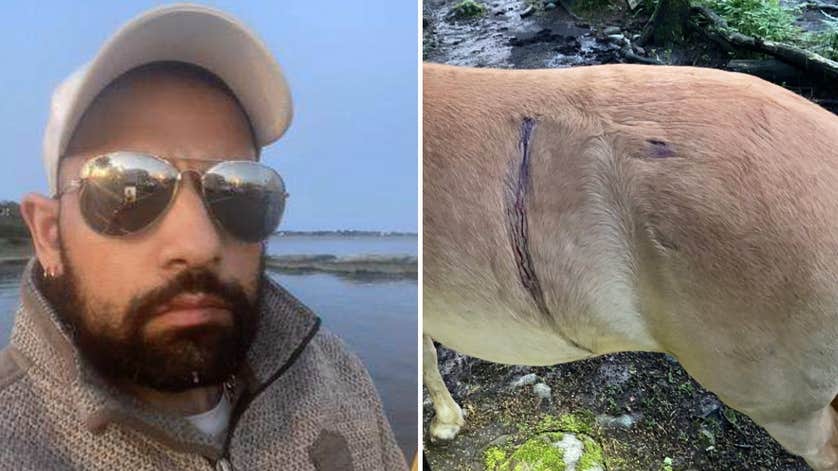 John Brandquist, 35, från Hönö var gängens torped – sköt en häst John Brandquist, 35, från Hönö var gängens torped – sköt en häst