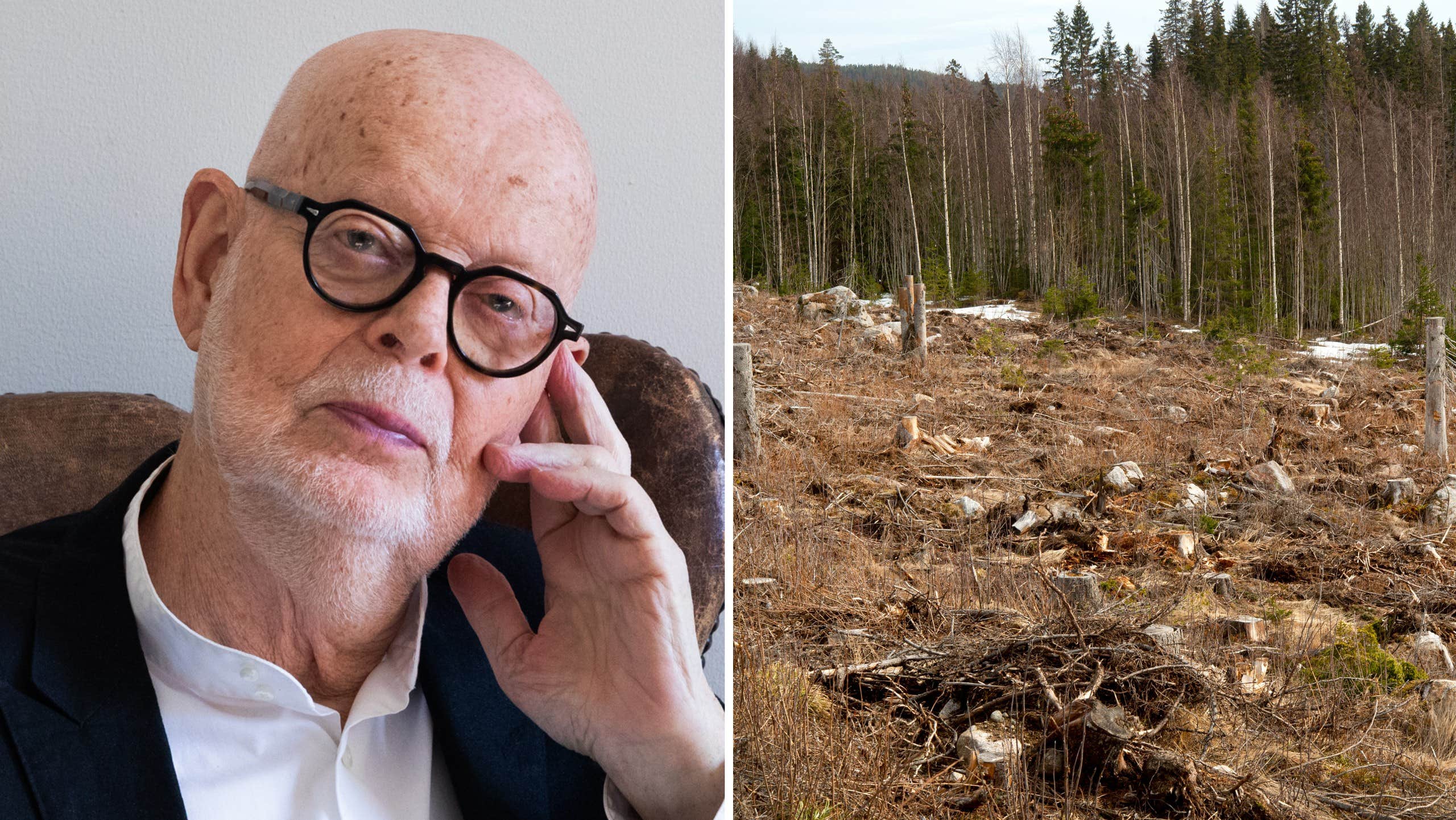 KG Hammar om kyrkans skogsbruk: ”Tjänar mammon” KG Hammar om kyrkans skogsbruk: ”Tjänar mammon”